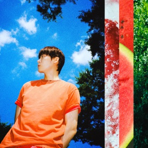 Pochette de Summer Returns